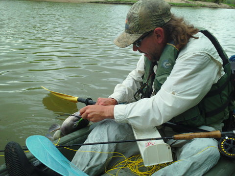 28&quot; catfish on a fly rod!