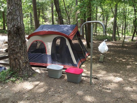 Tent set up in the shade.