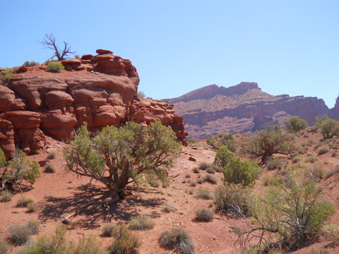 MOAB, UTAH TRIP - June 2012 332.JPG