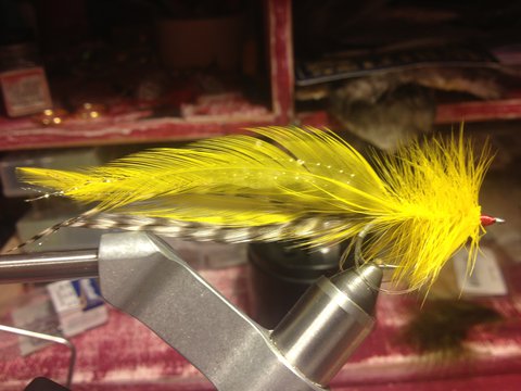 Seaducer (Redfish Yellow and Griz).JPG