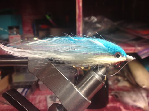 White and Light Blue baitfish.JPG