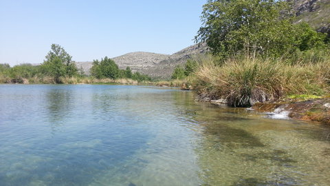 One of the springs feeding in.  This was upriver from put in.