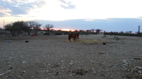 Sunset at the bed and breakfast