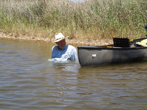 Hirsch, cooling off in the heat