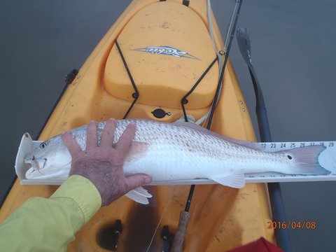 First fish.