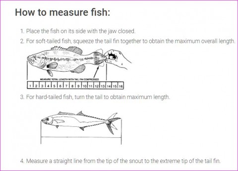 TPWD MEASURE.JPG