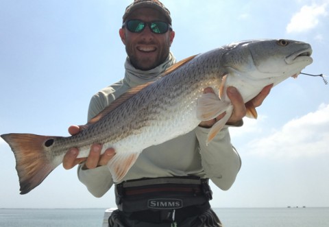 Sightcasting Redfish Weedless walk the dog for marsh or seagrass.jpg