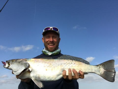 Speckled Trout on Walk the Dog Weedless Lures TroutSupport Baffin Bay.jpg