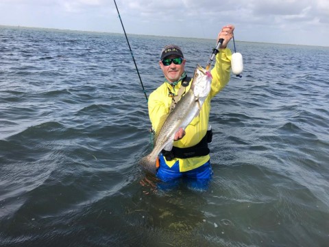 27 inch trout on TSL pink.jpg
