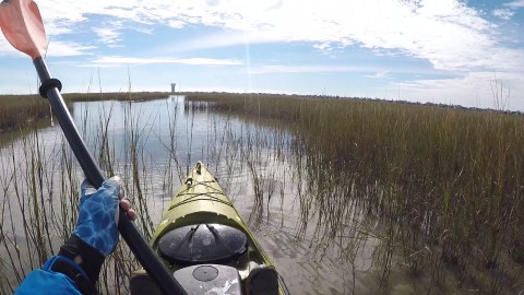 Redfish dec16a.jpg