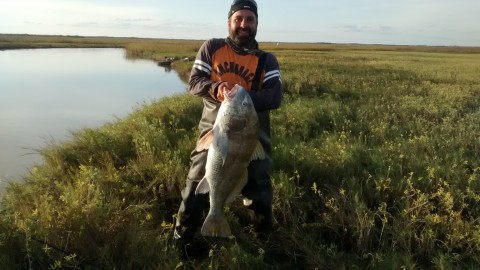 nov10-2019 35 inch black drum.jpg