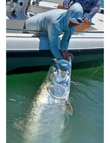 tarpon.jpg