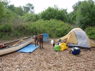 first night's campsite.JPG