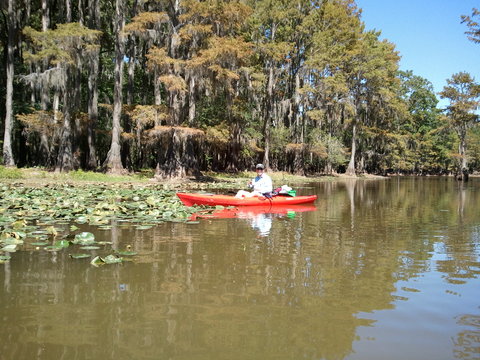 caddo lake3.jpg