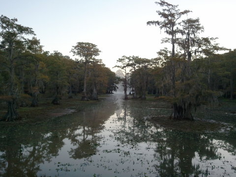 caddo lake4.jpg